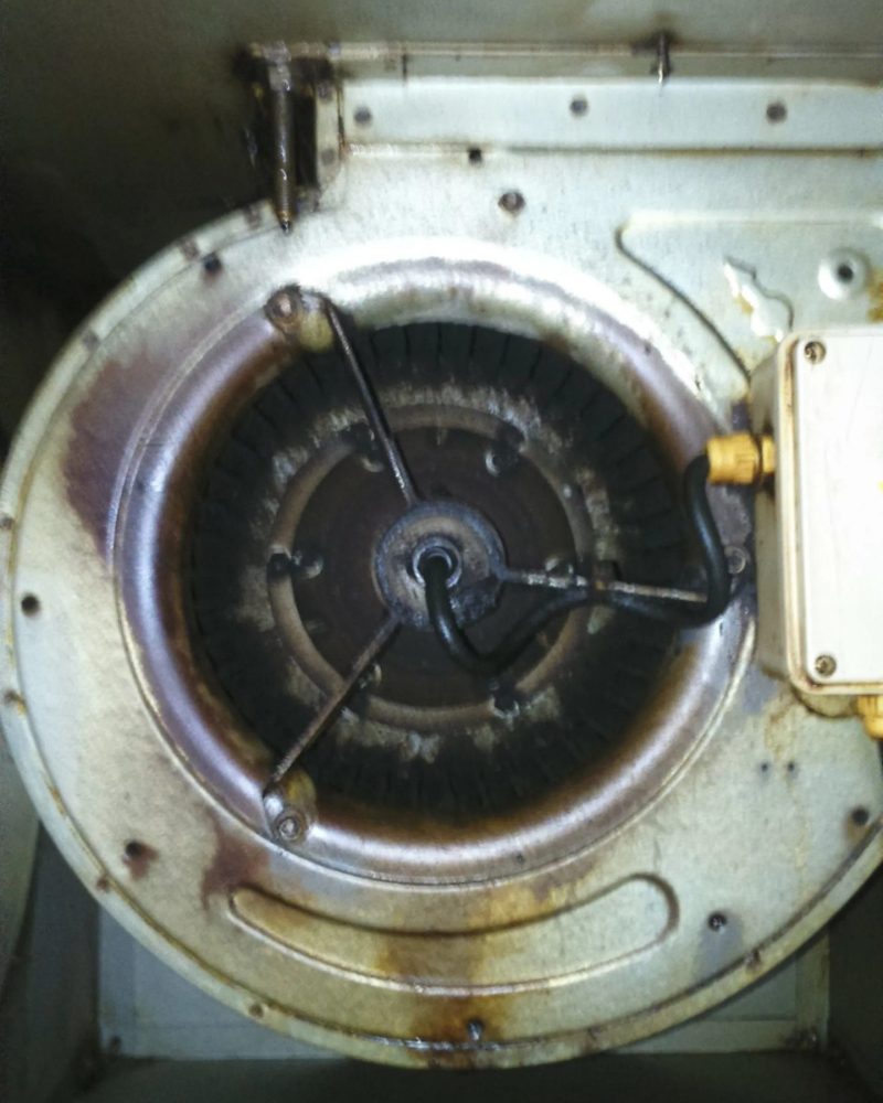 imgi_10_photo-8-scaled