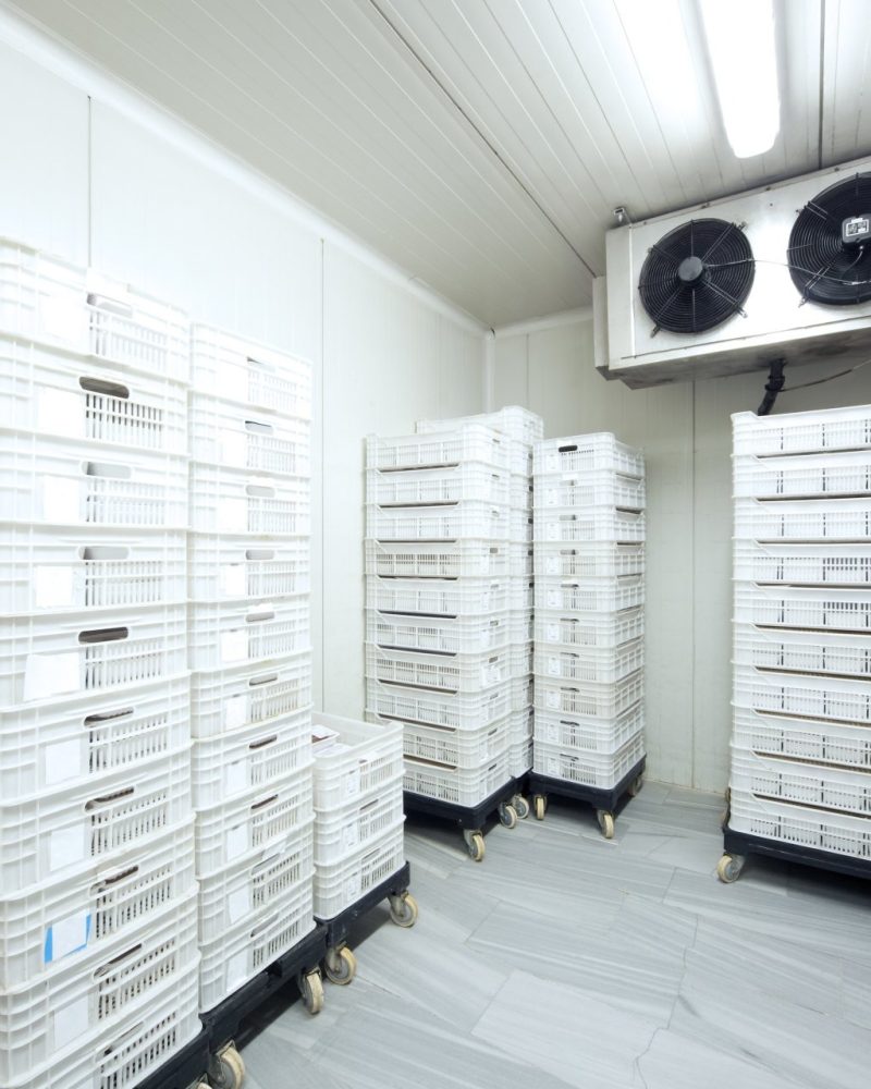 imgi_8_agroalimentaire-4